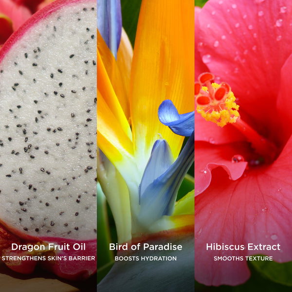 Close-up collage of dragon fruit oil, bird of paradise, and hibiscus extract, with on-image text highlighting their benefits: dragon fruit oil strengthens skin’s barrier, bird of paradise boosts hydration, and hibiscus extract smooths texture.