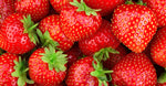 Strawberry Extract