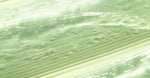 Bamboo Silica