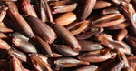 Black Oat Extract