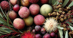 Wild Australian Superberries
