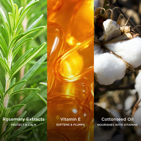 Three-panel ingredient image showing rosemary sprigs, golden vitamin E capsules, and cottonseed oil in a cotton boll, representing ingredients that help protect, nourish, and soften the skin.