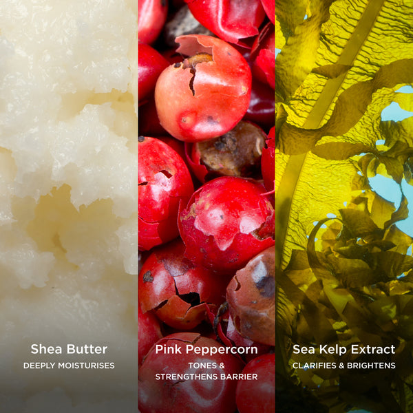 Shea Butter deeply moisturises, Pink Peppercorn tones and strengthens barrier, and Sea Kelp Extract clarifies and brightens in a botanical body care ingredient collage.