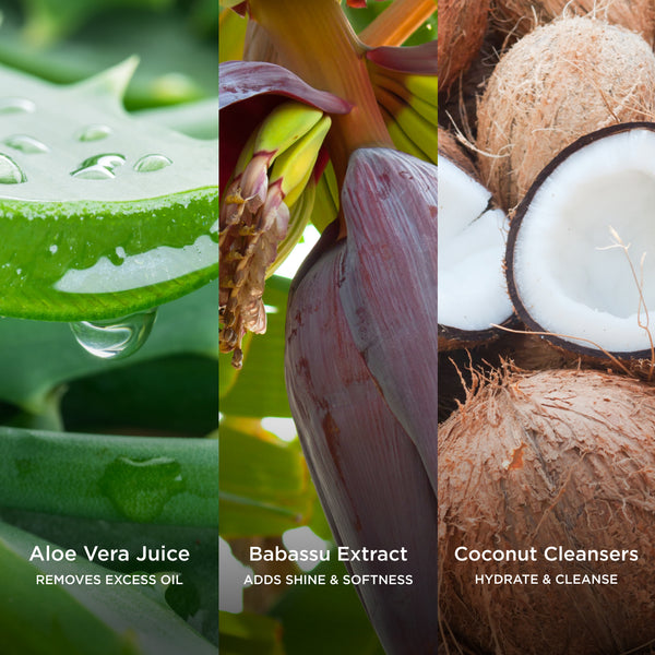 Ingredient collage featuring Aloe Vera Juice, Babassu Extract and Coconut Cleansers, with on-image text highlighting their benefits: 