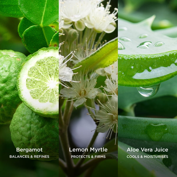 Three-panel ingredient image featuring bergamot fruit and leaves, lemon myrtle flowers, and aloe vera gel with water droplets, highlighting key botanical ingredients used to balance, firm, and moisturise skin.