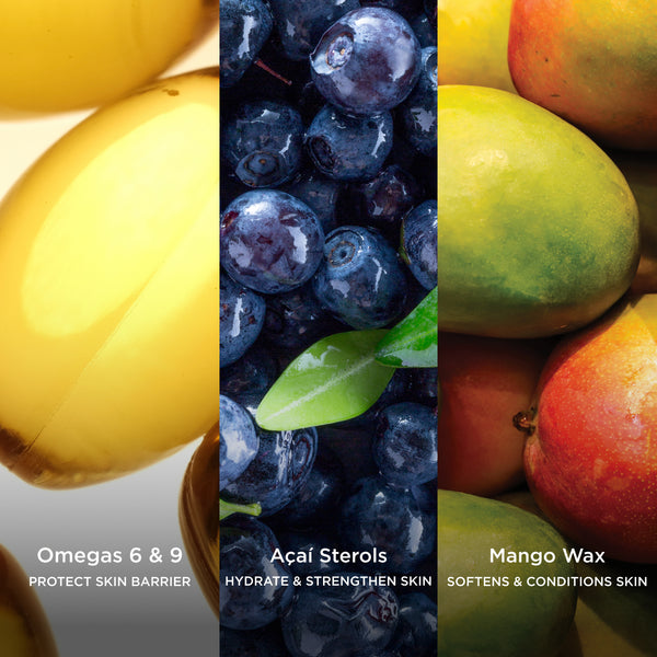 Omegas 6 and 9 protect skin barrier, Açaí Sterols hydrate and strengthen skin, and Mango Wax softens and conditions skin in a nourishing ingredient visual.