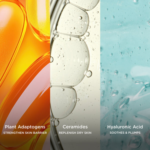 Three-panel ingredient image featuring plant adaptogens, ceramides, and hyaluronic acid, with on-image text describing skin barrier support, replenishing hydration, and plumping benefits.