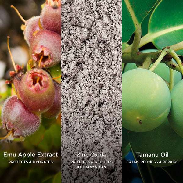Ingredient collage featuring Emu Apple Extract, Zinc Oxide and Tamanu Oil, highlighting ingredients that help protect skin, reduce inflammation, calm redness and support skin repair.