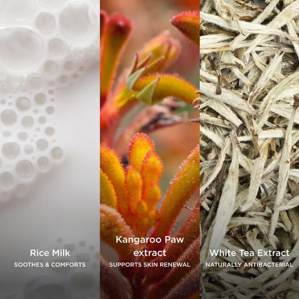 Ingredient collage featuring Rice Milk, Kangaroo Paw Extract and White Tea Extract, showcasing ingredients that soothe and comfort skin, support skin renewal, and provide natural antibacterial benefits.