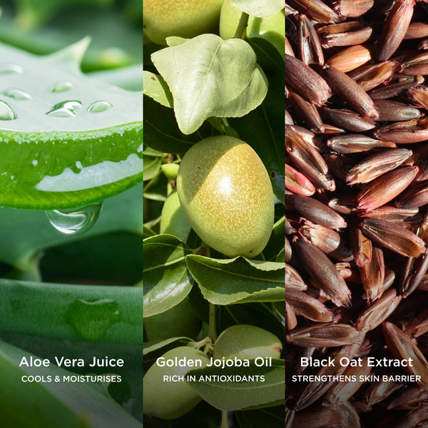 Aloe Vera Juice cools and moisturises, Golden Jojoba Oil is rich in antioxidants, and Black Oat Extract strengthens skin barrier in a botanical skincare collage.