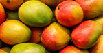 Wild Mango & Yuzu Extract