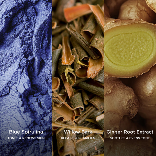 Blue Spirulina tones and renews skin, Willow Bark repairs and clarifies, and Ginger Root Extract soothes and evens tone shown in a close-up ingredient visual.
