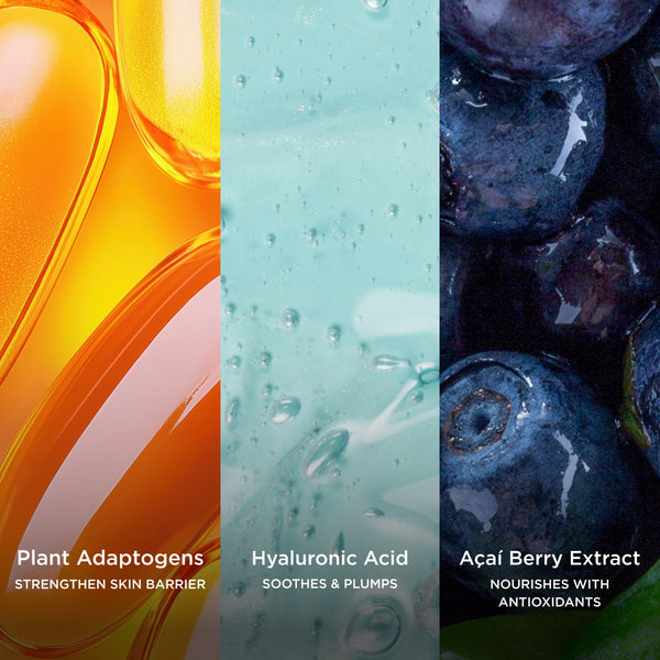 Three vertical panels highlighting key skincare ingredients. The left panel features golden liquid plant adaptogens with a smooth, glossy texture, labelled “Plant Adaptogens – Strengthen Skin Barrier.” The centre panel shows a close-up of pale blue hyaluronic acid gel with suspended bubbles, labelled “Hyaluronic Acid – Soothes & Plumps.” The right panel displays fresh açaí berries in deep purple-blue tones, labelled “Açaí Berry Extract – Nourishes With Antioxidants.” 