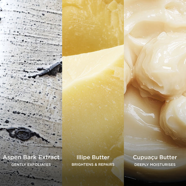 Aspen Bark Extract gently exfoliates, Illipe Butter brightens and repairs, and Cupuaçu Butter deeply moisturises in a rich skincare ingredient collage.