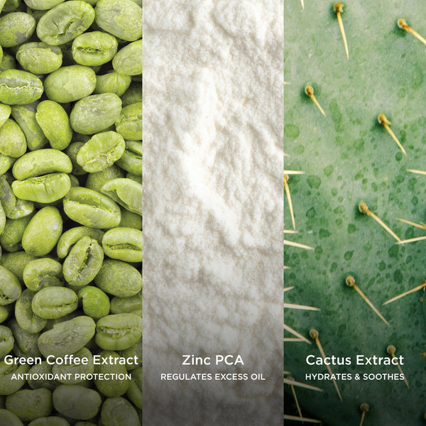 Three different natural ingredients with labels: green coffee beans, zinc PCA powder, and cactus pads.