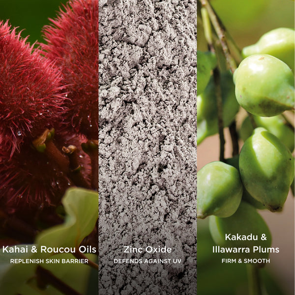 Ingredient collage featuring Kahai & Roucou Oils, Zinc Oxide and Kakadu & Illawarra Plums, highlighting ingredients that help replenish the skin barrier, defend against UV rays and support firmer, smoother-looking skin.