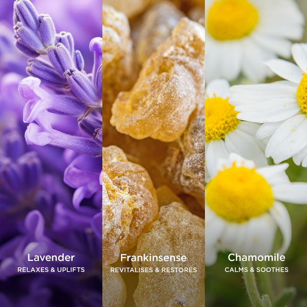 Close-up texture image split into three vertical panels: vibrant purple lavender flowers labelled “Lavender – Relaxes & Uplifts”, golden frankincense resin labelled “Frankincense – Revitalises & Restores”, and delicate white chamomile flowers with yellow centres labelled “Chamomile – Calms & Soothes”.