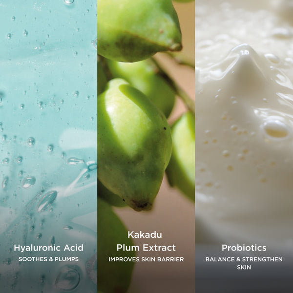 Three-panel ingredient image featuring hyaluronic acid gel with air bubbles, Kakadu plum fruit, and creamy probiotics, highlighting ingredients that hydrate, support the skin barrier, and help balance the skin.