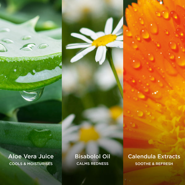 Three-panel ingredient image featuring aloe vera gel with water droplets, bisabolol-rich chamomile flowers, and vibrant calendula petals, representing soothing and calming botanical ingredients for skin comfort.