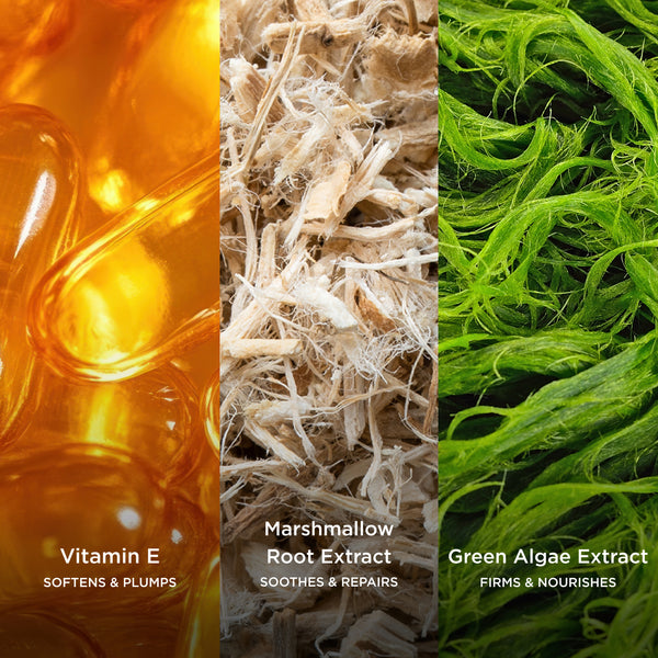 Vitamin E softens and plumps, Marshmallow Root Extract soothes and repairs, and Green Algae Extract firms and nourishes shown in a botanical skincare collage.