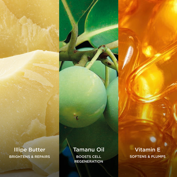 Ingredient collage featuring Illipe Butter, Tamanu Oil and Vitamin E, highlighting ingredients that help nourish, repair and soften skin.