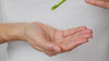 Model dispenses the super greens oil with the pipette into the palm of their hand. They rub their hands together and run the product into their face.